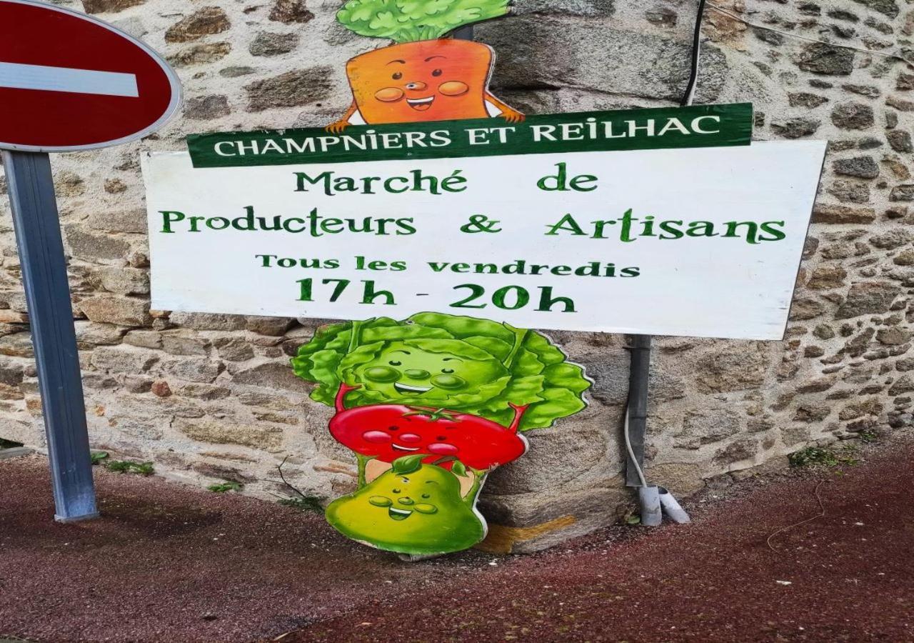 Cap Nature - T4 Et T3 En Perigord Vert - Ideal Pros Et Groupes Max 18P Champniers-et-Reilhac Экстерьер фото